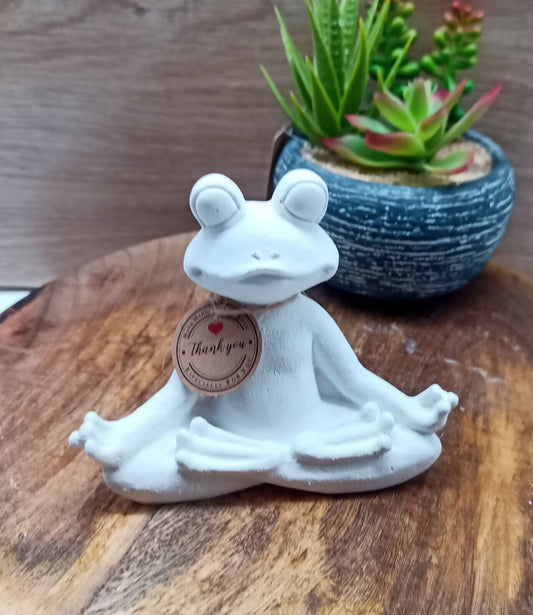 Frosch aus Raysin in Yogahaltung