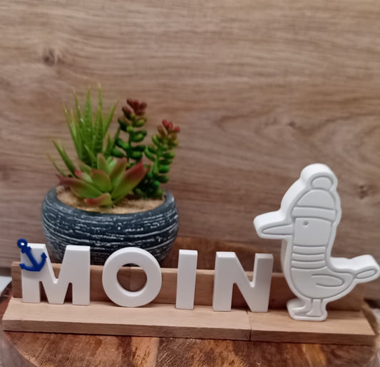 Moin und Möwe aus Raysin auf Holz