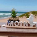 Maritime Deko „Moin“ mit Möwe aus Holz & Keramikguss – Küstendeko & Geschenk